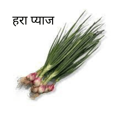 हरा प्याज Spring Onian