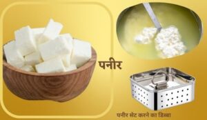 पनीर कैसे बनाएं/how to make paneer